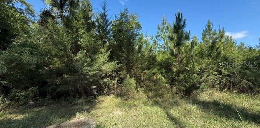 Land in Bunnell, Florida № 2098053
