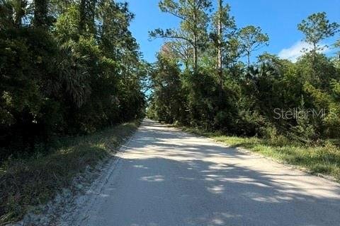 Land in Bunnell, Florida № 2098053 - photo 9