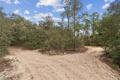 Land in Webster, Florida № 2165352 - photo 7