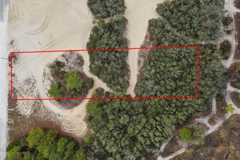 Land in Webster, Florida № 2165352 - photo 15