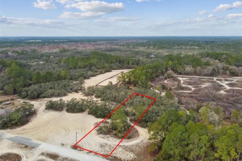 Land in Webster, Florida № 2165352 - photo 22