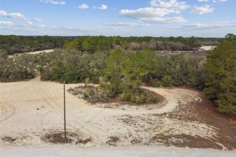 Land in Webster, Florida № 2165352 - photo 14