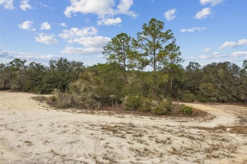 Land in Webster, Florida № 2165352 - photo 11