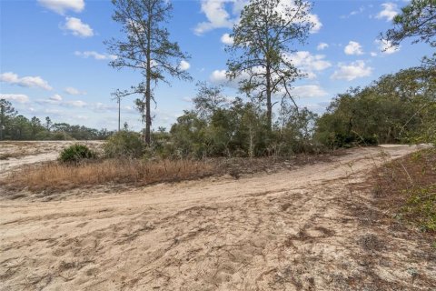 Land in Webster, Florida № 2165352 - photo 8