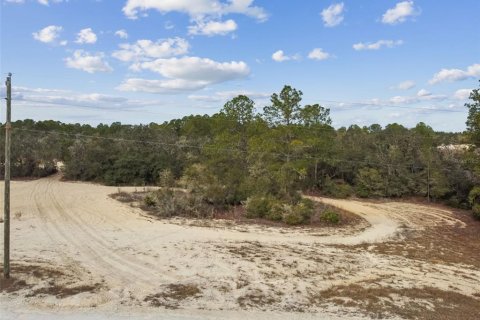 Land in Webster, Florida № 2165352 - photo 13