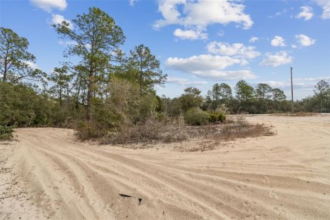 Land in Webster, Florida № 2165352 - photo 6