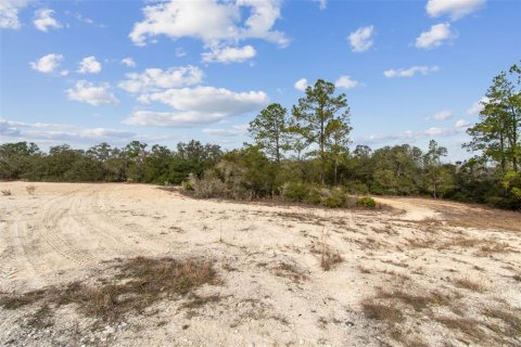 Land in Webster, Florida № 2165352 - photo 2