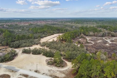 Land in Webster, Florida № 2165352 - photo 21