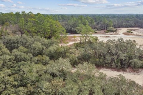 Land in Webster, Florida № 2165352 - photo 27