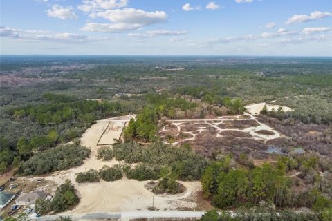 Land in Webster, Florida № 2165352 - photo 20