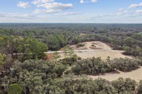 Land in Webster, Florida № 2165352 - photo 26