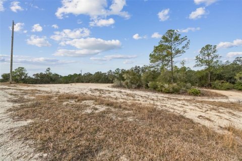 Land in Webster, Florida № 2165352