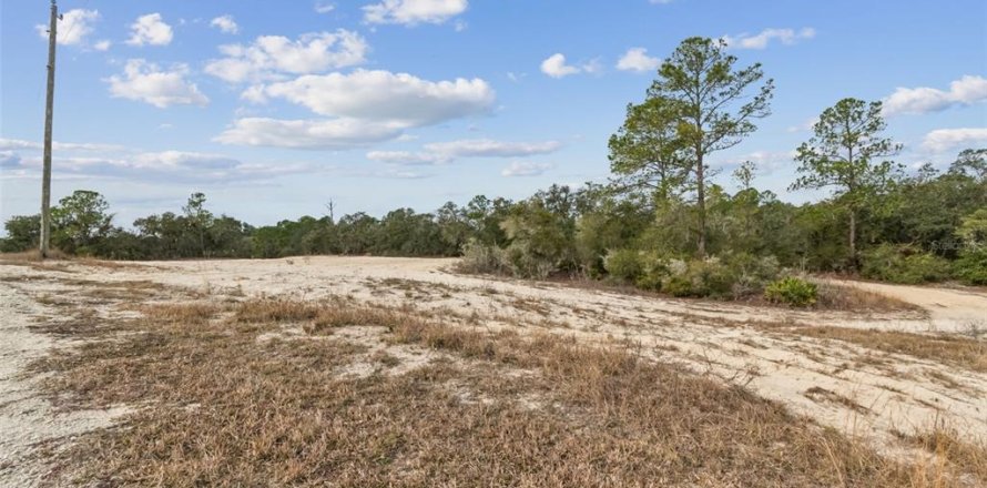 Land in Webster, Florida № 2165352