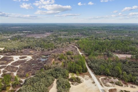 Land in Webster, Florida № 2165352 - photo 18