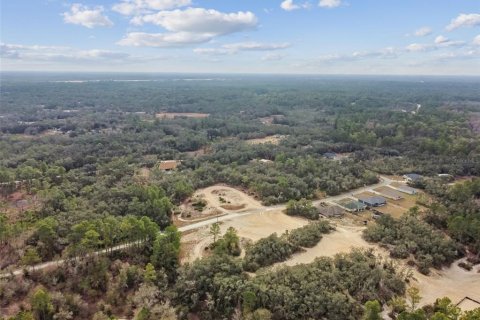 Land in Webster, Florida № 2165352 - photo 16
