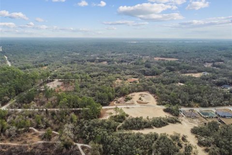 Land in Webster, Florida № 2165352 - photo 17