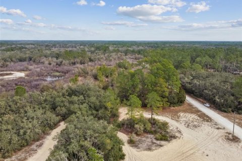Land in Webster, Florida № 2165352 - photo 24
