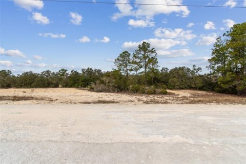 Land in Webster, Florida № 2165352 - photo 3