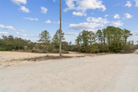 Land in Webster, Florida № 2165352 - photo 10