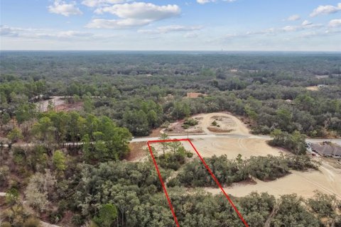 Land in Webster, Florida № 2165352 - photo 23