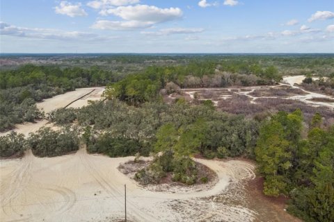 Land in Webster, Florida № 2165352 - photo 25