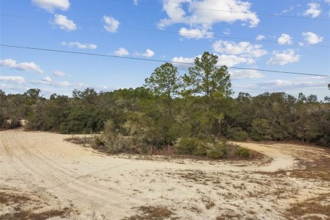 Land in Webster, Florida № 2165352 - photo 12