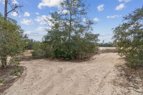 Land in Webster, Florida № 2165352 - photo 9