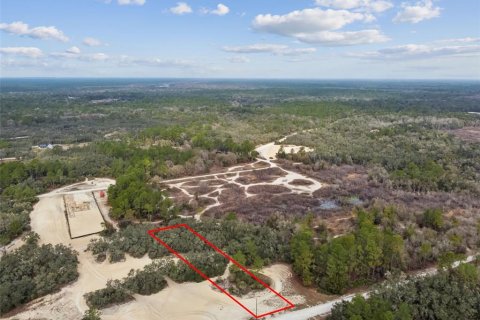 Land in Webster, Florida № 2165352 - photo 19