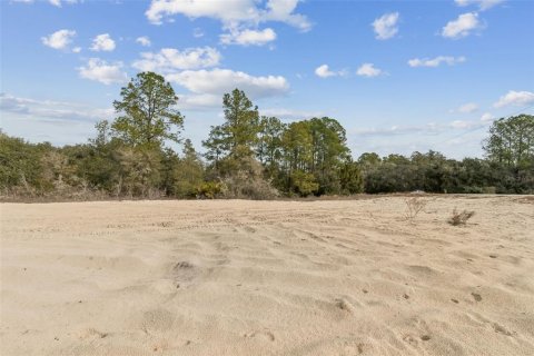 Land in Webster, Florida № 2165352 - photo 5