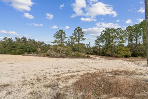 Land in Webster, Florida № 2165352 - photo 4