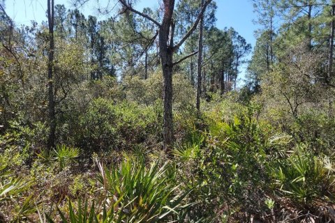 Terreno en venta en Astor, Florida № 225571 - foto 1