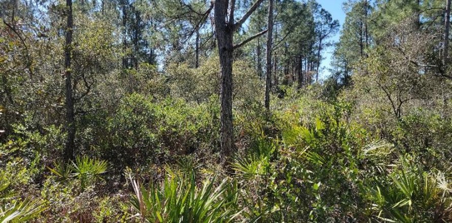Terreno en Astor, Florida № 225571