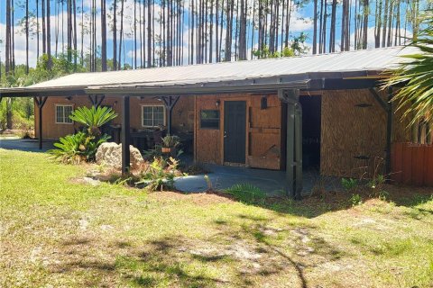 Terrain à vendre à Interlachen, Floride № 2096720 - photo 4