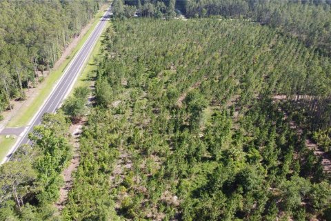 Terrain à vendre à Interlachen, Floride № 2096720 - photo 20