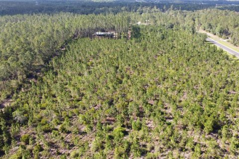 Terrain à vendre à Interlachen, Floride № 2096720 - photo 21