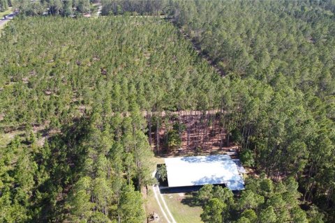 Terrain à Interlachen, Floride № 2096720