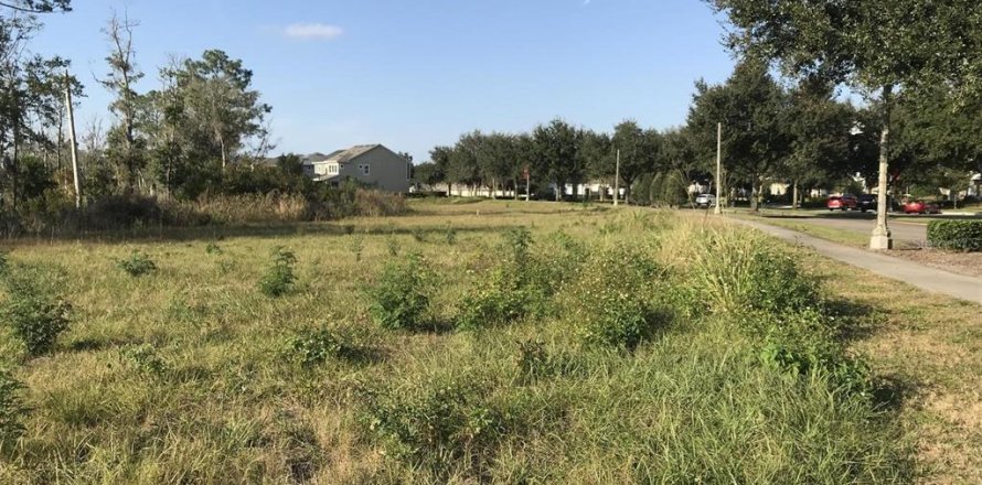 Land in Oviedo, Florida № 1724122