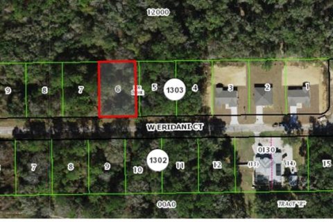 Land in Citrus Springs, Florida № 2160130 - photo 2