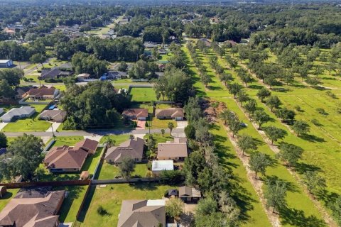 House in Summerfield, Florida 3 bedrooms, 140.75 sq.m. № 2381306 - photo 25