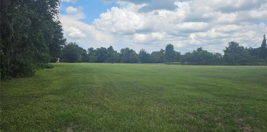 Terreno en Fish Hawk, Florida № 1819237