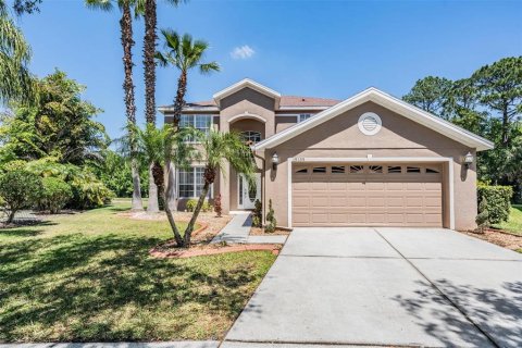 House in Tampa, Florida 4 bedrooms, 219.81 sq.m. № 1640156 - photo 1