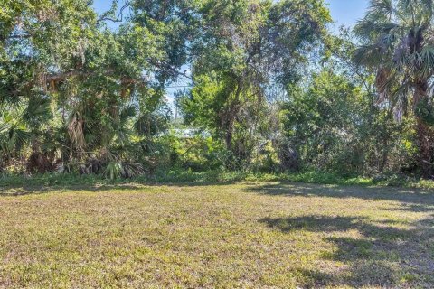 House in Port Charlotte, Florida 2 bedrooms, 107.4 sq.m. № 1654540 - photo 25