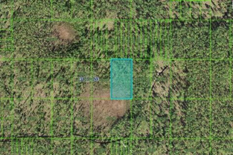 Terreno en Frostproof, Florida № 2164075