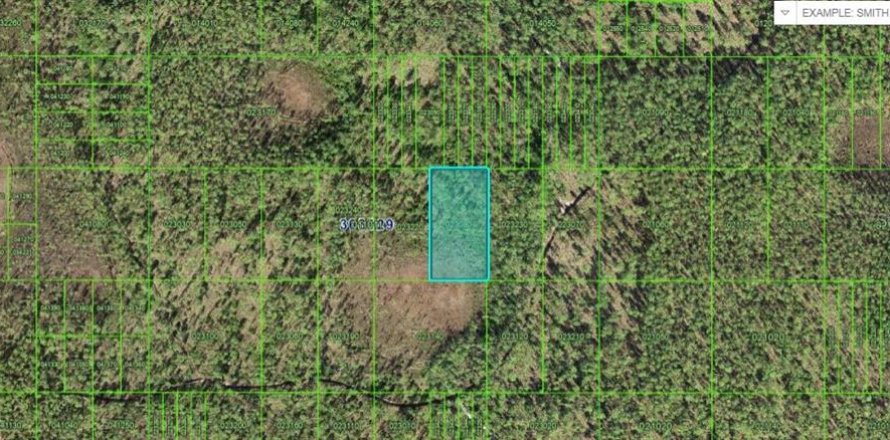 Terreno en Frostproof, Florida № 2164075