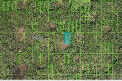 Terreno en venta en Frostproof, Florida № 2164075 - foto 3