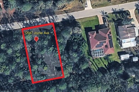 Land in Port Charlotte, Florida № 2163397 - photo 2