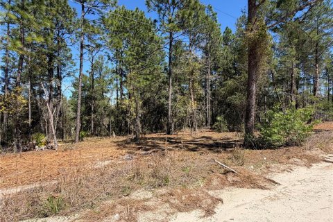 Land in Morriston, Florida № 2232977 - photo 5
