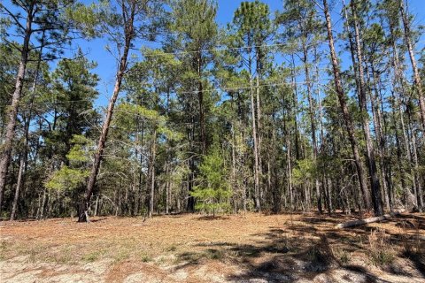 Land in Morriston, Florida № 2232977 - photo 2