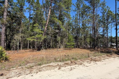 Land in Morriston, Florida № 2232977 - photo 3