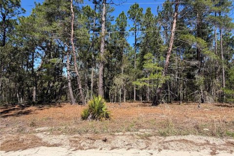 Land in Morriston, Florida № 2232977 - photo 4